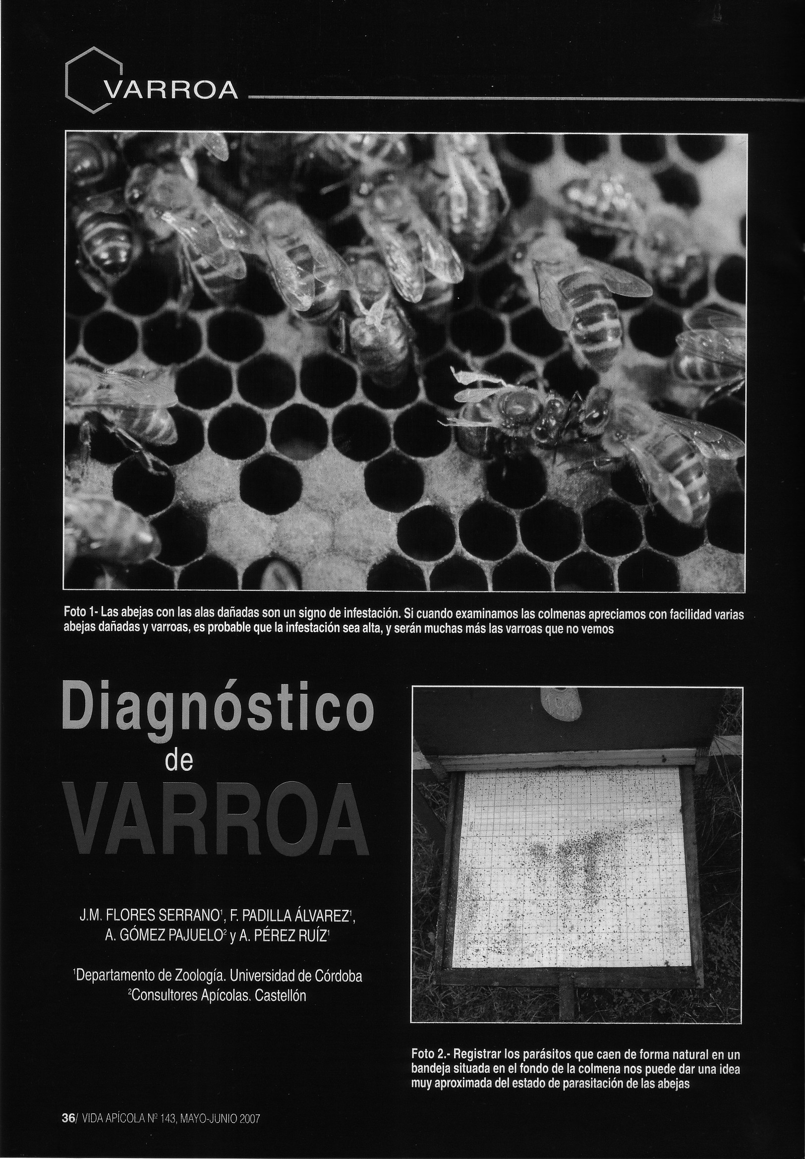 2007_Vida_A