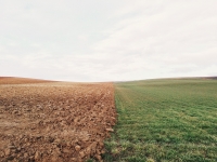 10 Good Agricultural Practices to Mitigate Climate Change and Erosion.