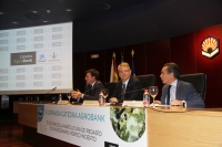 De izquierda a derecha, Ricardo Domínguez, Lorenzo Salas y Rafael Herrador en la clausura de las jornadas.  