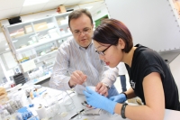 El investigador de la Departamento de Qumica Inorgnica e Ingeniera Qumica de la Universidad de Crdoba Gregorio Ortiz ayuda a Bai Xue, de la Universidad de Ciencia y Tecnologa de Pekn, durante una prctica