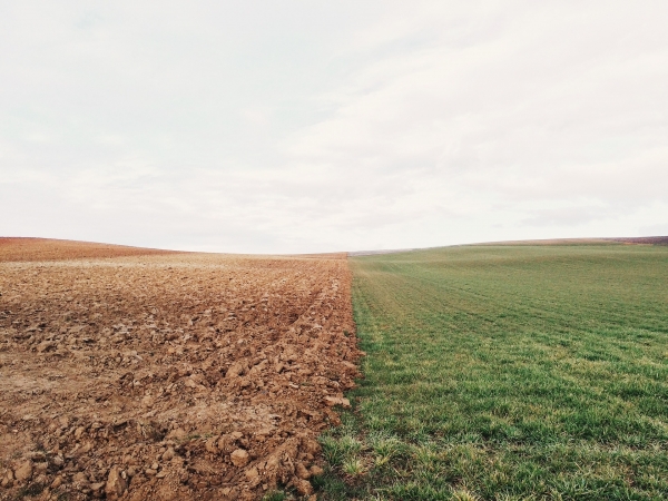 Las prácticas agrícolas para mitigar el cambio climático y la erosión